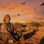 birds are changing and indigenous memory is the lo